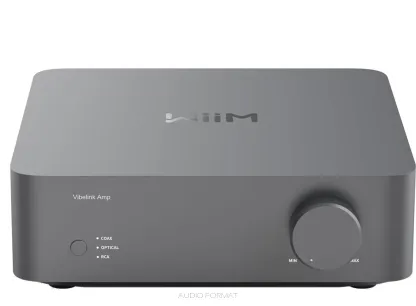 Wiim AMP