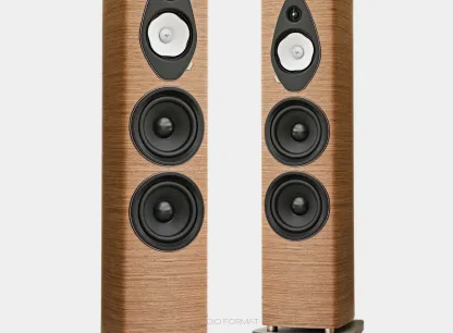 Sonetto VIII G2