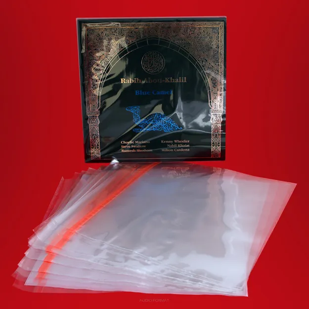 Simply Analog PP Self-Sealing Sleeves 12