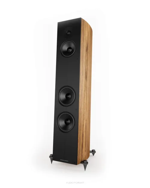 Acoustic Energy CORINIUM - Kolumna podłogowa | Salon Warszawa | Odsłuch | Raty 0% | Negocjuj cenę |