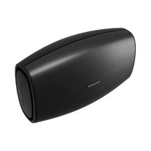 Sonus Faber ASTER - Kolumna zewnętrzna | Salon Warszawa | Dostawa 0zł | 